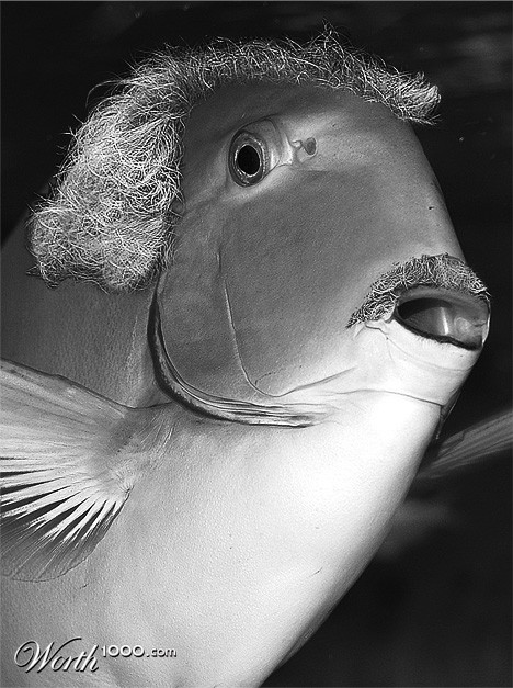 Photoshop Design by mutos2