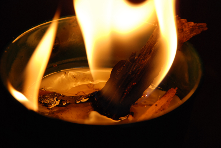 Photographie par nzkiwi pour DesignCrowd (Community Contests) | Design #9005525