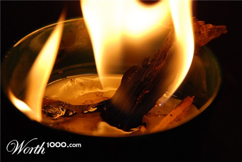 Photography by nzkiwi