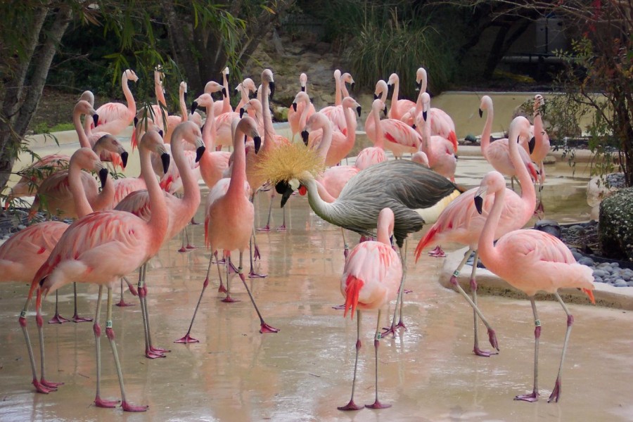 Photoshop-Design von Fishwife für DesignCrowd (Community Contests) | Design #9003048