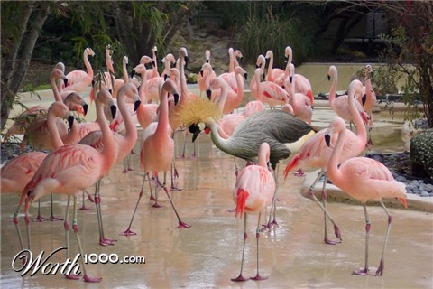 Photoshop Design by Fishwife