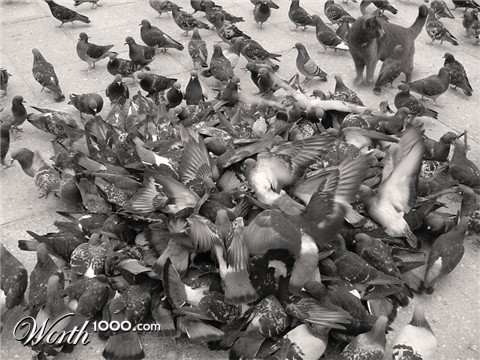 Photoshop Design by maxjpeters