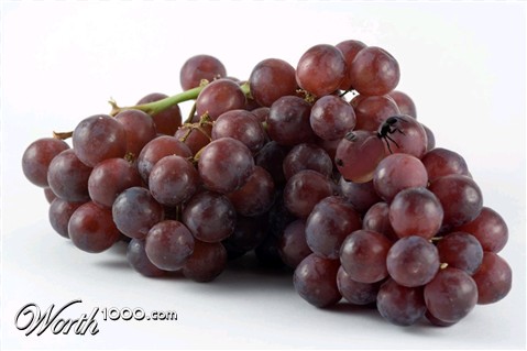 Photoshop Design by kizzle