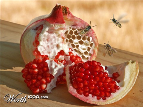 Photoshop Design by metafizzixx