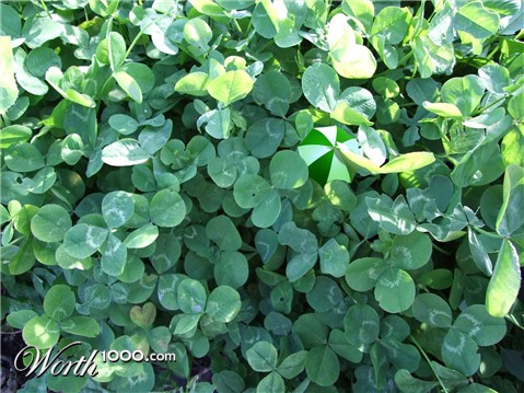 Photoshop Design by PeaseGirl