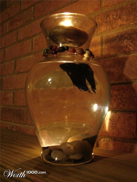 Photography by Penycat