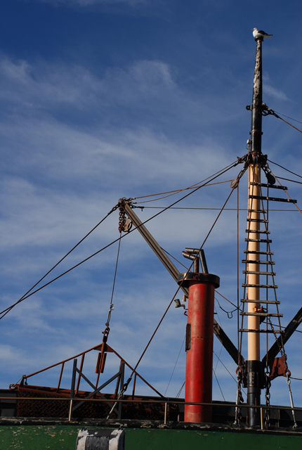 Photographie par nzkiwi pour DesignCrowd (Community Contests) | Design #9006197