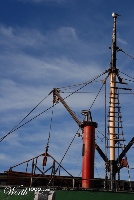 Photography by nzkiwi