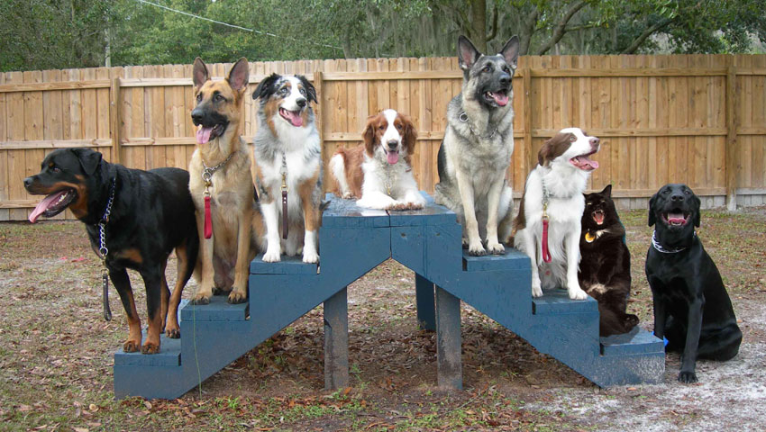 Photoshop Design by rexybaby for DesignCrowd (Community Contests) | Design #9003115