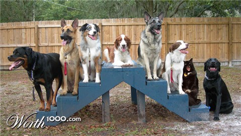 Photoshop Design by rexybaby