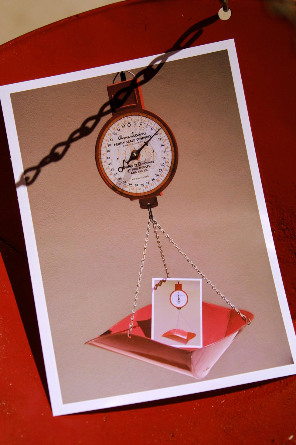 Photography by mhcork for DesignCrowd (Community Contests) | Design #9007623