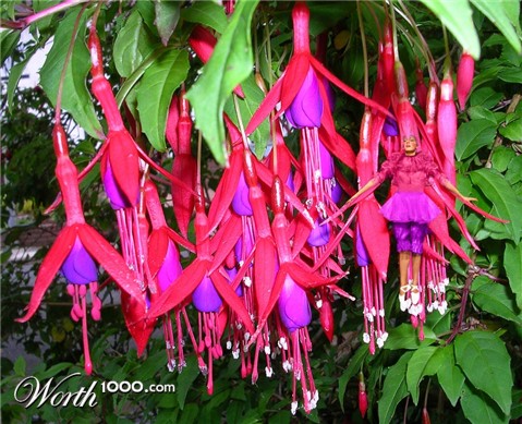 Photoshop Design by Rhiannonsmommy