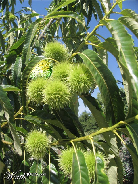 Photoshop Design by Coditor