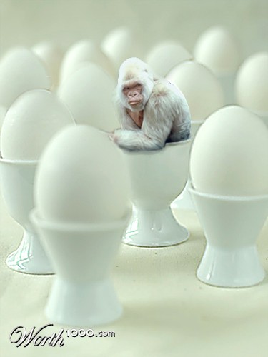 Photoshop Design by StarsView