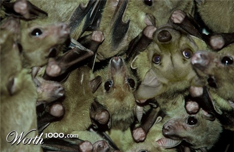 Photoshop Design by lordgilamesh