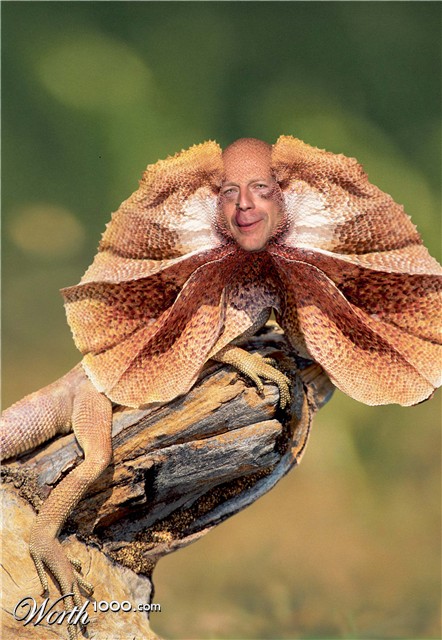 Photoshop Design by shnitzel