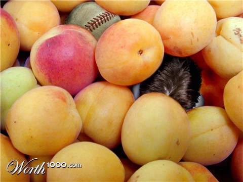 Photoshop Design by Alfrothul