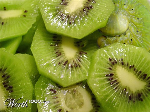 Photoshop Design by bluebook