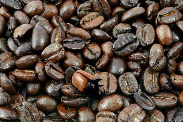 Photoshop Design by CherryPicn for DesignCrowd (Community Contests) | Design #9003299