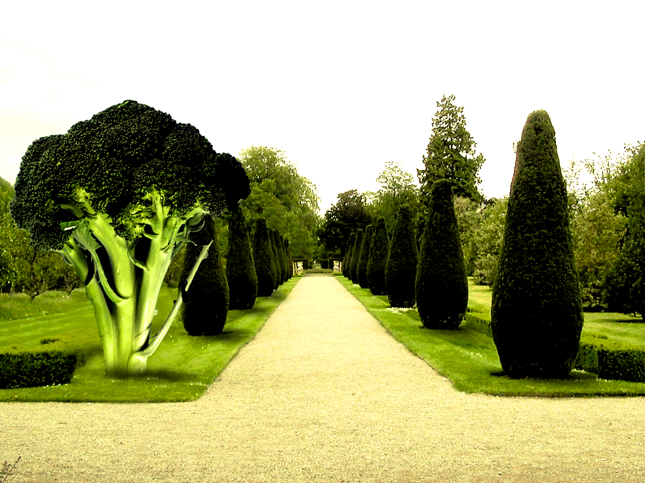 Diseño de Photoshop por slippy88 para DesignCrowd (Community Contests) | Diseño #9003361