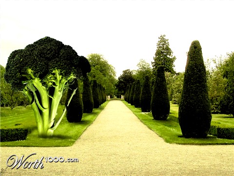 Photoshop Design by slippy88