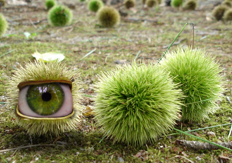 Photoshop Design by CristiG for DesignCrowd (Community Contests) | Design #9003248