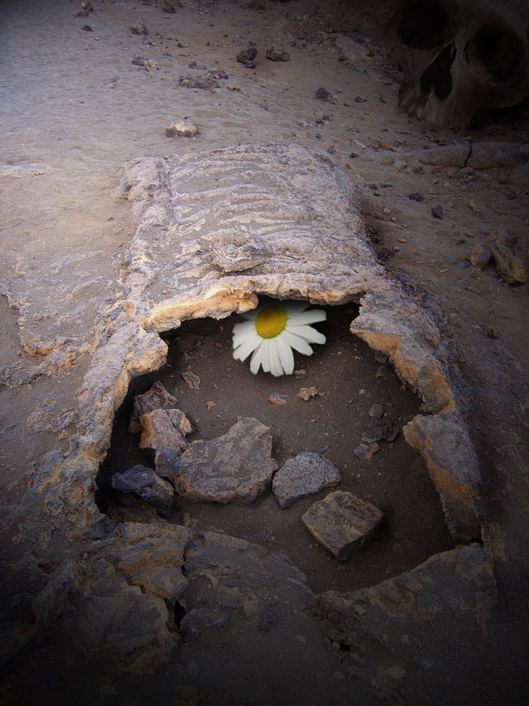 Photoshop Design by Artifakts for DesignCrowd (Community Contests) | Design #9008849