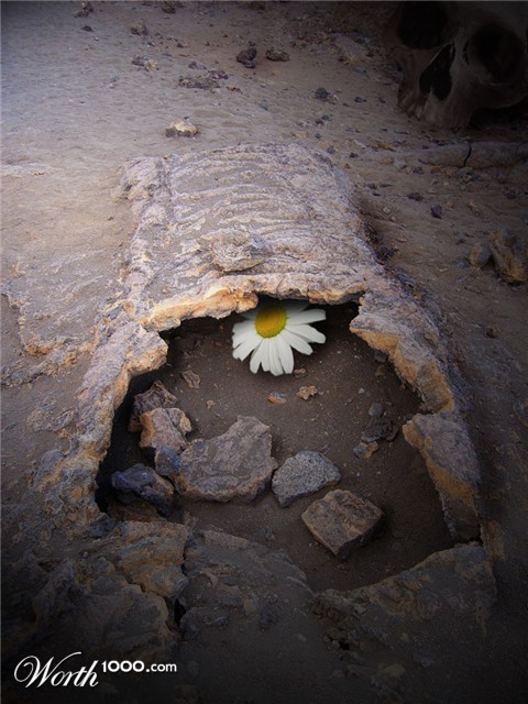 Photoshop Design by Artifakts