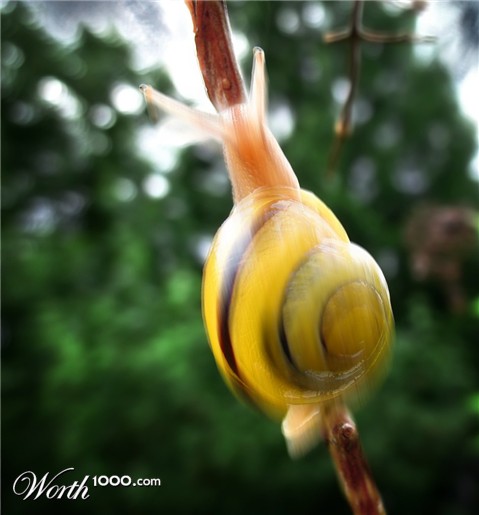 Photoshop Design by Eireen