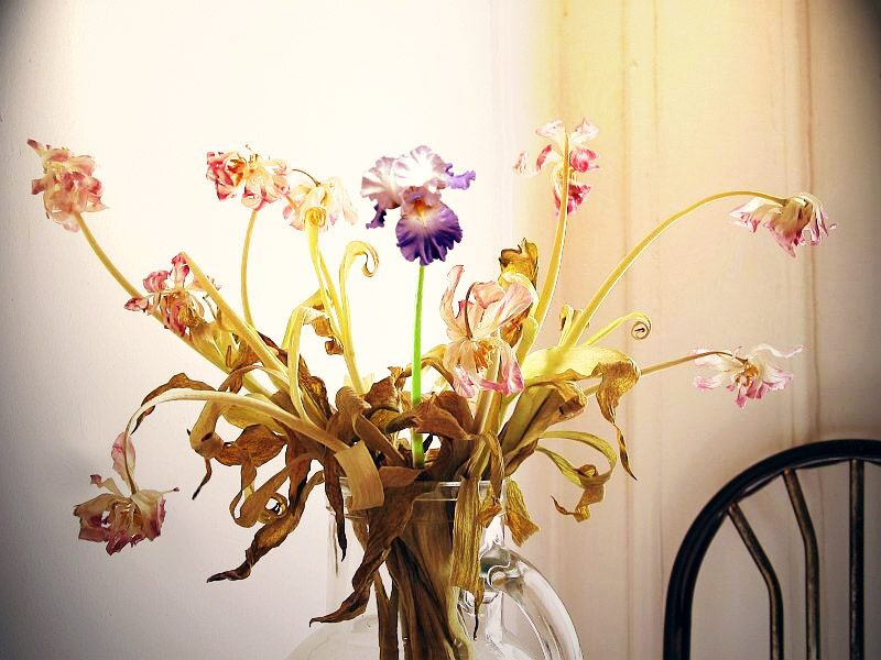 Photoshop Design by Lostfiniel for DesignCrowd (Community Contests) | Design #9008852