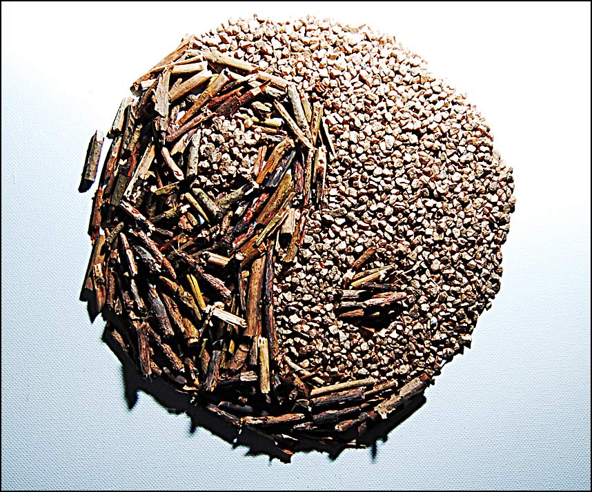 Photographie par thenegativeone pour DesignCrowd (Community Contests) | Design #9005540