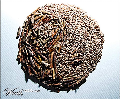 Photography by thenegativeone