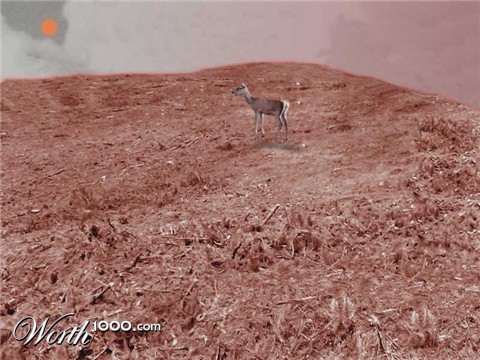 Photoshop Design by AJDcompetitor