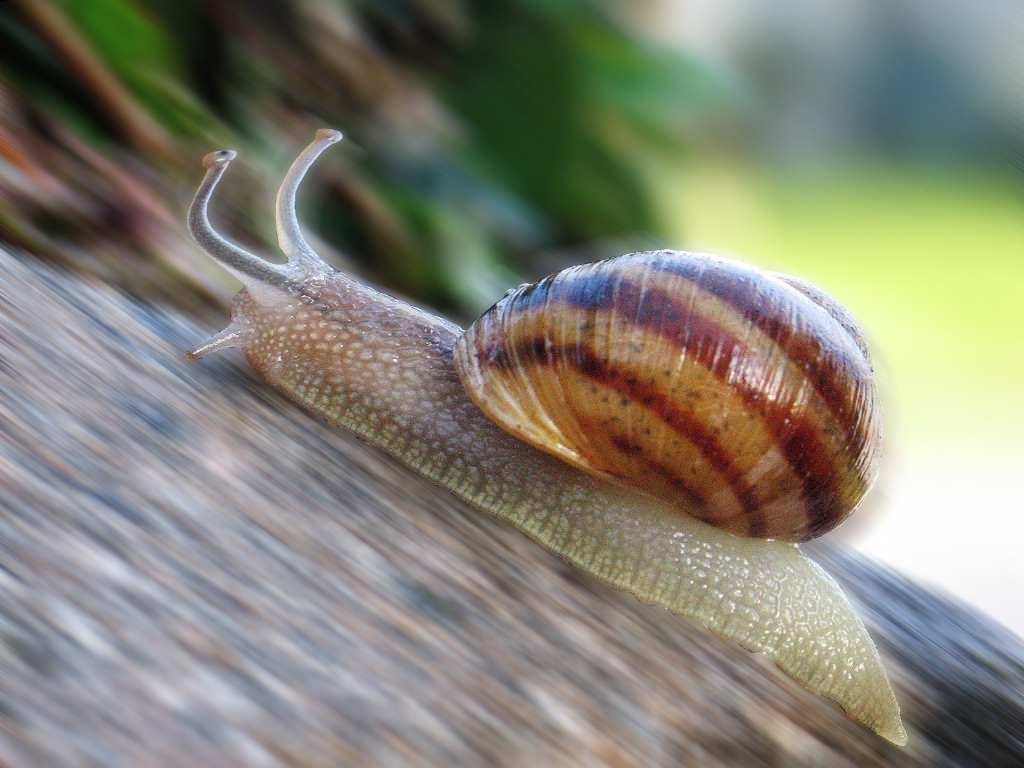 Design Photoshop par Shiwo01 pour DesignCrowd (Community Contests) | Design #9007422