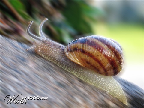 Photoshop Design by Shiwo01