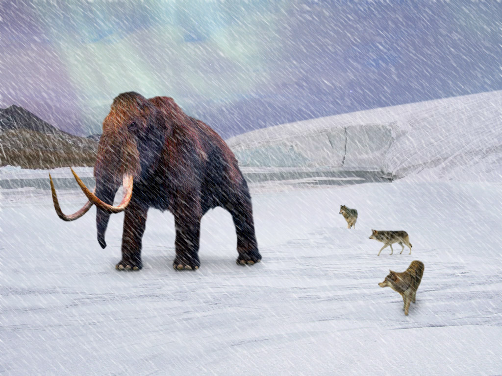 Photoshop Design by Ron Miller for DesignCrowd (Community Contests) | Design #9008861