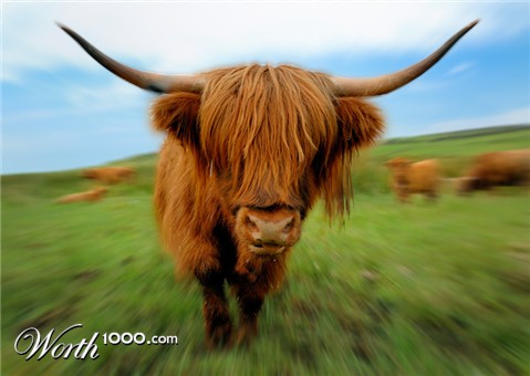 Photoshop Design by zsolesz92