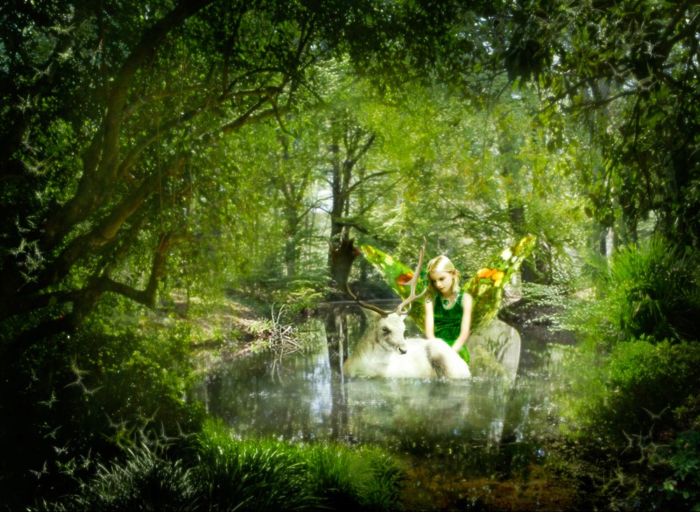 Photoshop Design by somebodyhere for DesignCrowd (Community Contests) | Design #9008907