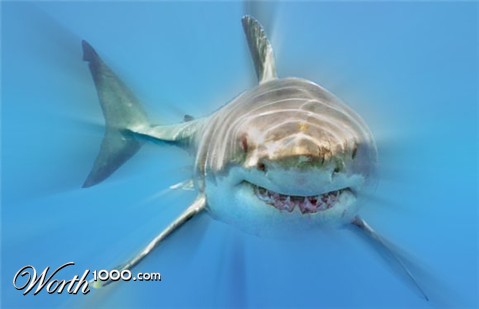 Photoshop Design by weirdo50