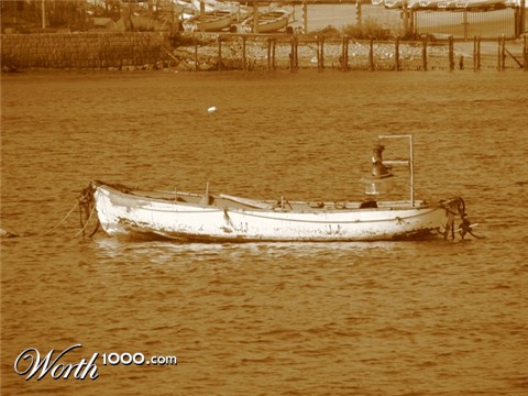 Photography by Avigayil