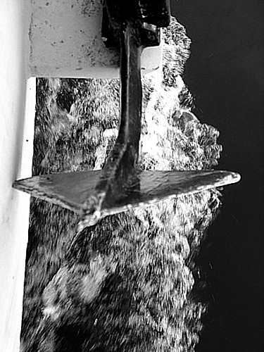 Photographie par c22tine pour DesignCrowd (Community Contests) | Design #9006309