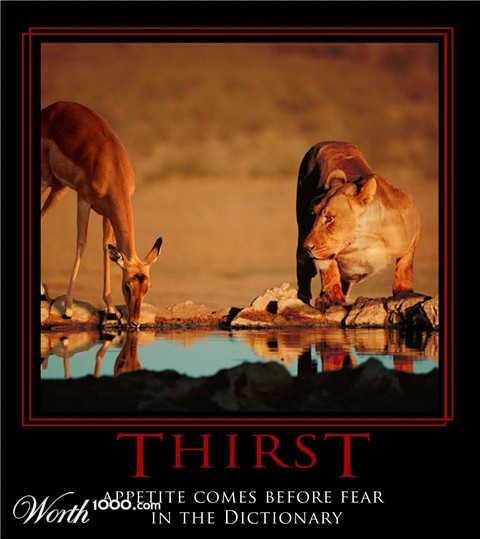Photoshop Design by sperdush