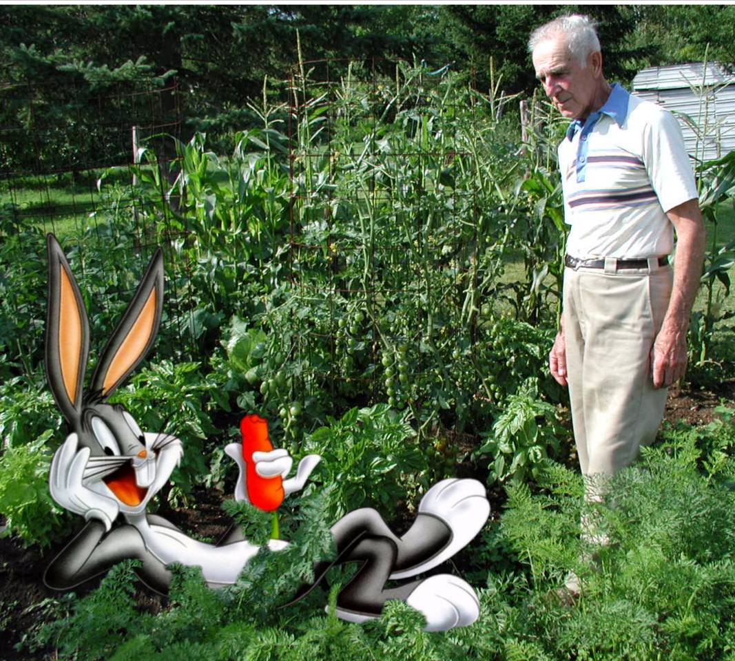 Photoshop Design by EnglishPete for DesignCrowd (Community Contests) | Design #9004337