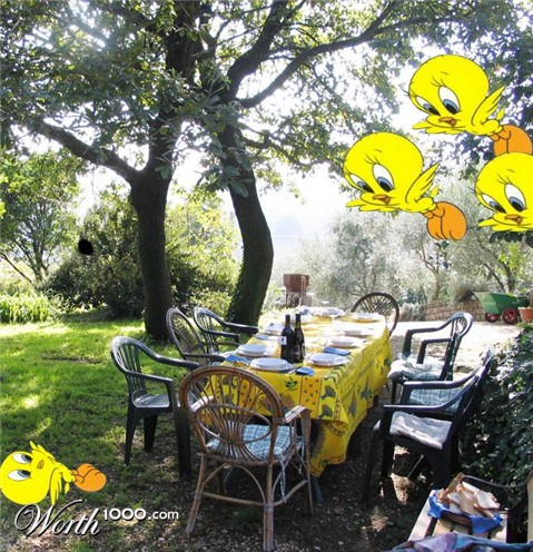 Photoshop Design by stormcoming