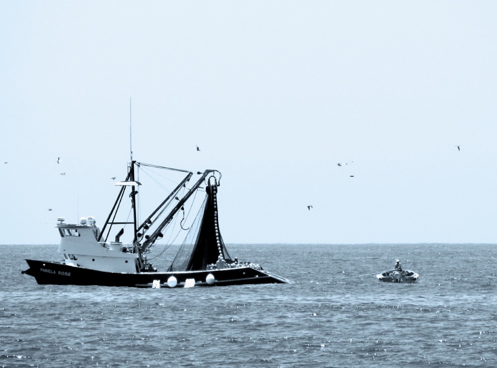 Photography by 1thirteen3 for DesignCrowd (Community Contests) | Design #9006349