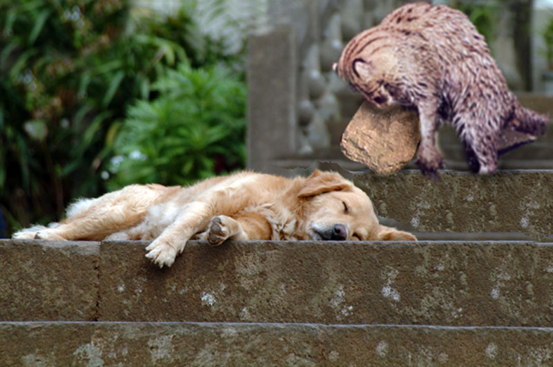 Design Photoshop par unnimaxx pour DesignCrowd (Community Contests) | Design #9003547