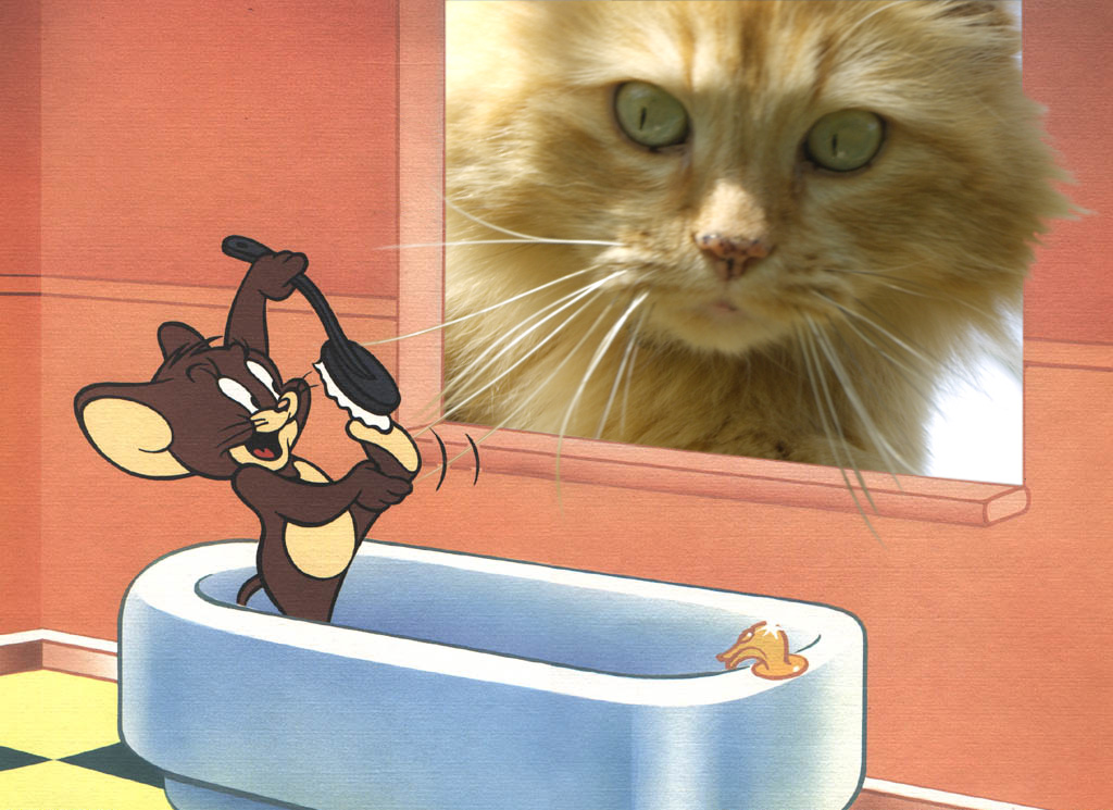 Photoshop Design by maxjpeters for DesignCrowd (Community Contests) | Design #9004551