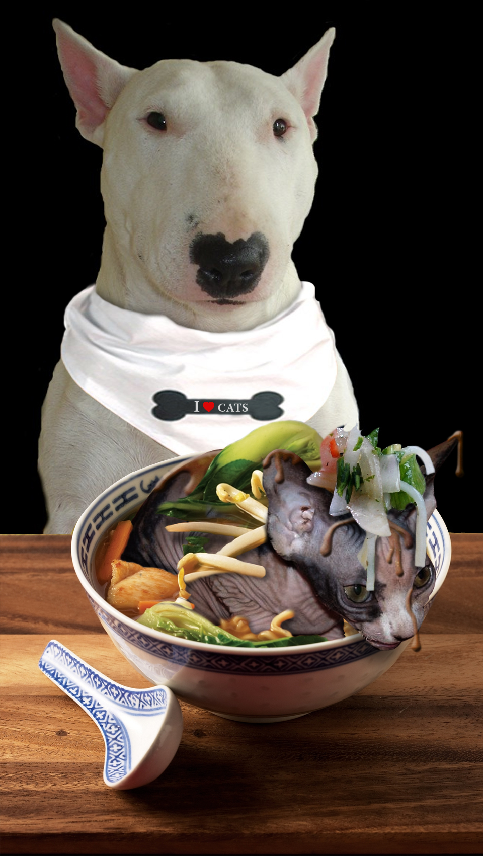 Photoshop Design by fdotta for DesignCrowd (Community Contests) | Design #9003559
