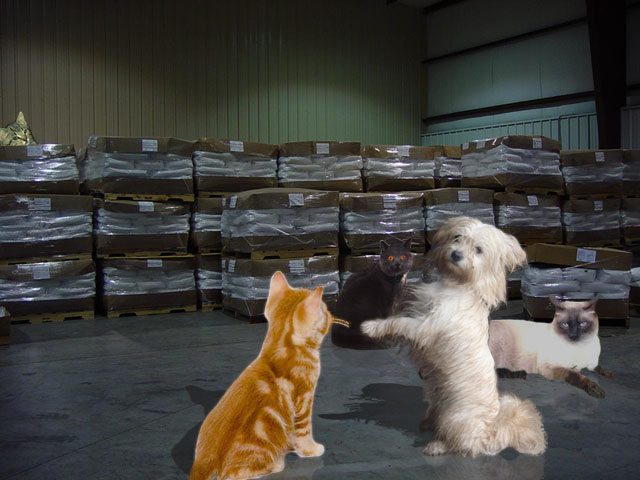 Diseño de Photoshop por SAMRATRAI para DesignCrowd (Community Contests) | Diseño #9003557