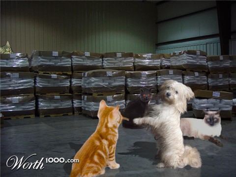 Photoshop Design by SAMRATRAI